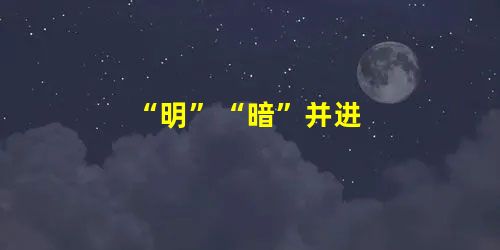 “明”“暗”并进 “明”“暗”并进