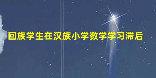 回族学生在汉族小学数学学习滞后的成因分析 回族学生在汉族小学数学学习滞后的成因分析