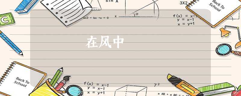 在风中 在风中