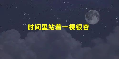 时间里站着一棵银杏 时间里站着一棵银杏