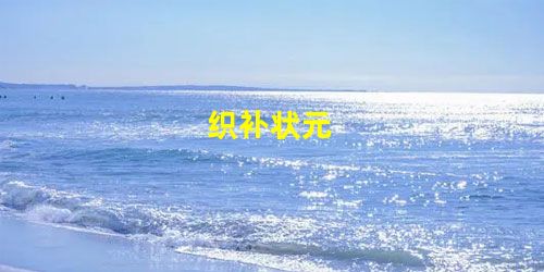 织补状元 织补状元