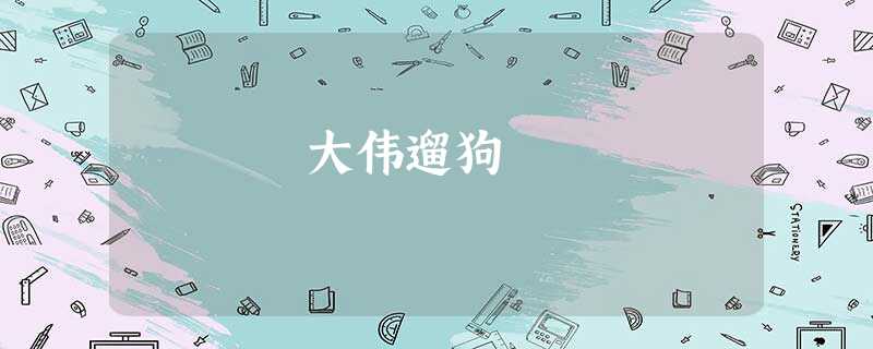 大伟遛狗 大伟遛狗