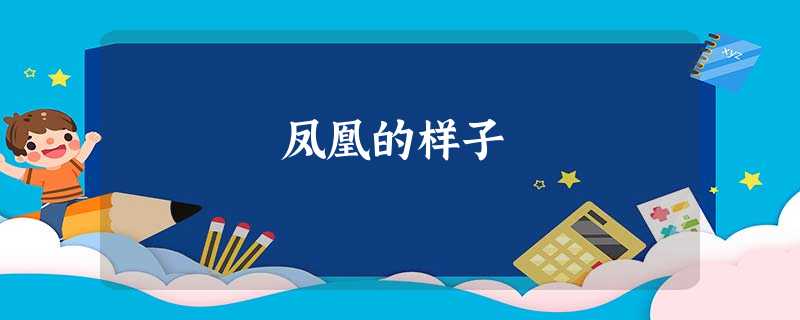 凤凰的样子 凤凰的样子