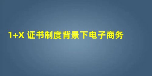 1+X 证书制度背景下电子商务专业教学改革 1+X 证书制度背景下电子商务专业教学改革