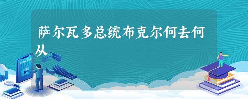 萨尔瓦多总统布克尔何去何从 萨尔瓦多总统布克尔何去何从