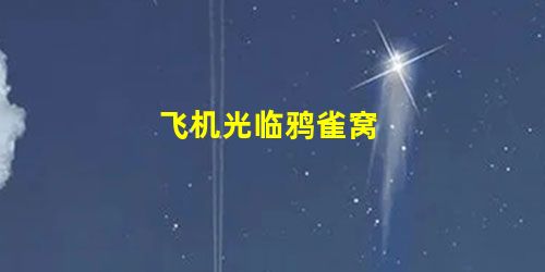 飞机光临鸦雀窝 飞机光临鸦雀窝