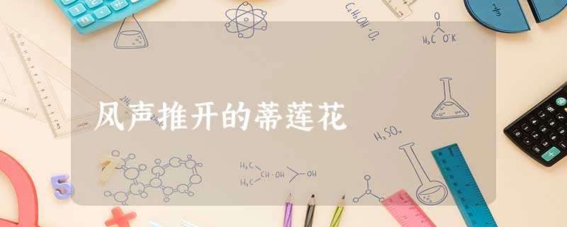风声推开的蒂莲花 风声推开的蒂莲花