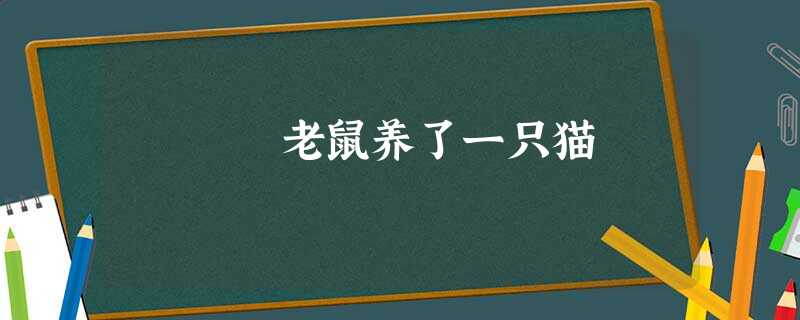 老鼠养了一只猫 老鼠养了一只猫