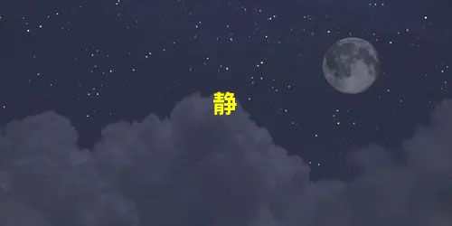 静 静