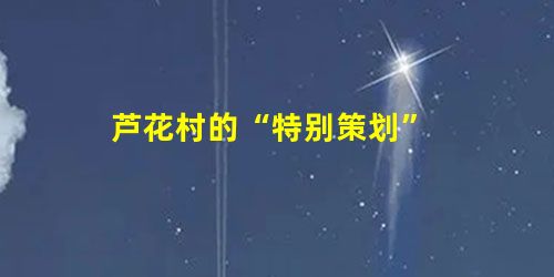 芦花村的“特别策划” 芦花村的“特别策划”
