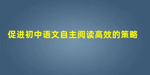 促进初中语文自主阅读高效的策略探析 促进初中语文自主阅读高效的策略探析