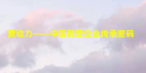 源动力——中国民营企业传承密码 源动力——中国民营企业传承密码