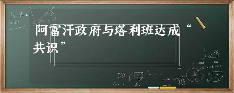 阿富汗政府与塔利班达成“共识” 阿富汗政府与塔利班达成“共识”
