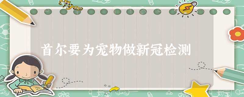 首尔要为宠物做新冠检测 首尔要为宠物做新冠检测