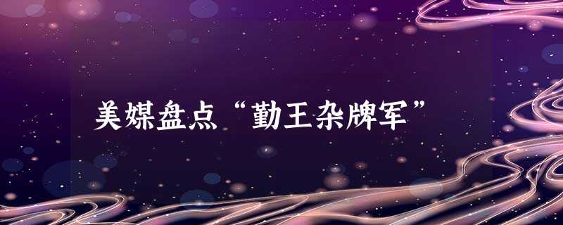 美媒盘点“勤王杂牌军” 美媒盘点“勤王杂牌军”