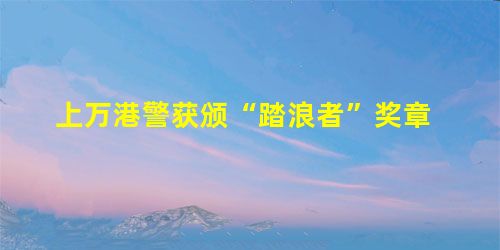 上万港警获颁“踏浪者”奖章 上万港警获颁“踏浪者”奖章