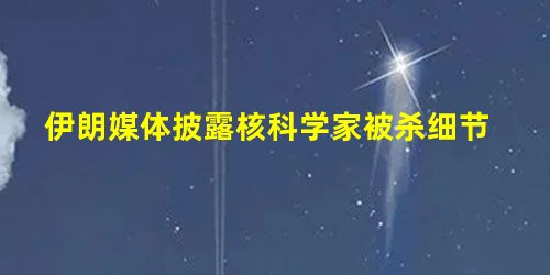 伊朗媒体披露核科学家被杀细节 伊朗媒体披露核科学家被杀细节