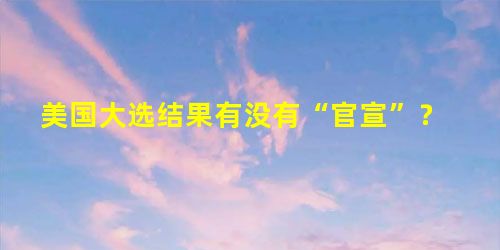 美国大选结果有没有“官宣”? 美国大选结果有没有“官宣”?