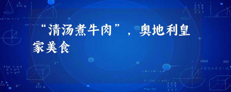 “清汤煮牛肉”,奥地利皇家美食 “清汤煮牛肉”,奥地利皇家美食