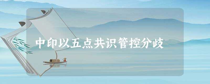 中印以五点共识管控分歧 中印以五点共识管控分歧