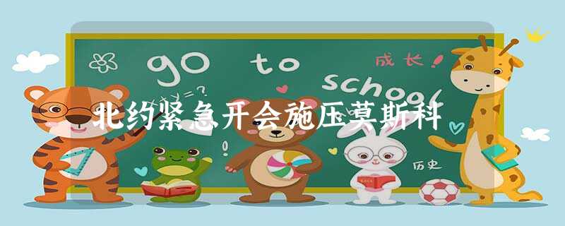 北约紧急开会施压莫斯科 北约紧急开会施压莫斯科