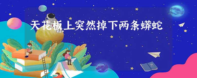 天花板上突然掉下两条蟒蛇 天花板上突然掉下两条蟒蛇