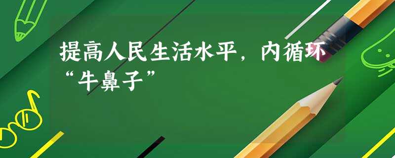 提高人民生活水平,内循环“牛鼻子” 提高人民生活水平,内循环“牛鼻子”