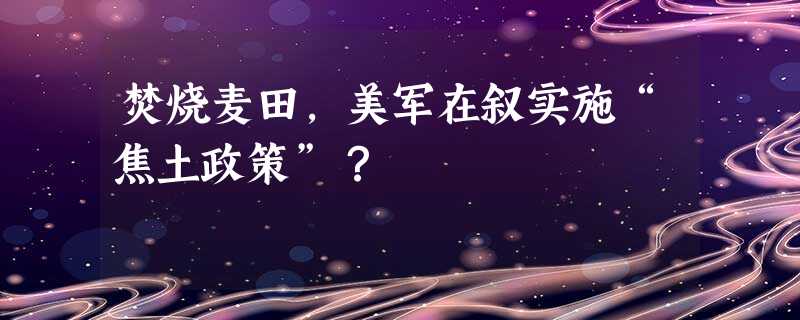 焚烧麦田,美军在叙实施“焦土政策”? 焚烧麦田,美军在叙实施“焦土政策”?