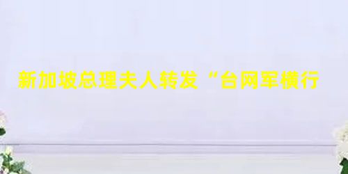 新加坡总理夫人转发“台网军横行”视频 新加坡总理夫人转发“台网军横行”视频