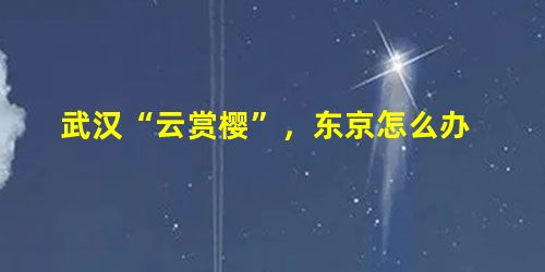 武汉“云赏樱”,东京怎么办 武汉“云赏樱”,东京怎么办
