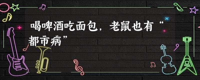 喝啤酒吃面包,老鼠也有“都市病” 喝啤酒吃面包,老鼠也有“都市病”