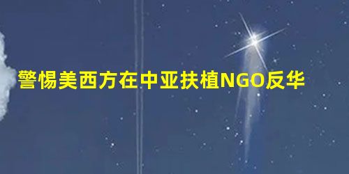 警惕美西方在中亚扶植NGO反华(观察家) 警惕美西方在中亚扶植NGO反华(观察家)