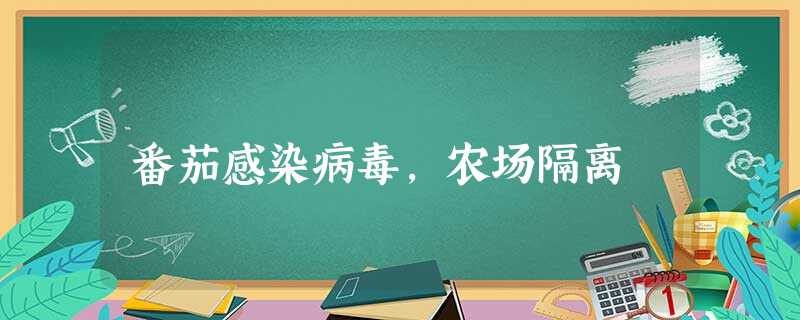 番茄感染病毒,农场隔离 番茄感染病毒,农场隔离