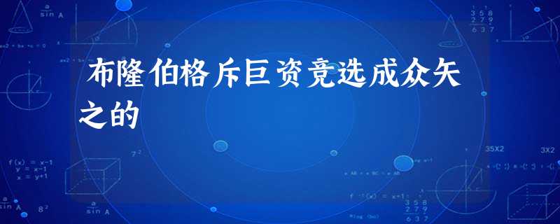 布隆伯格斥巨资竞选成众矢之的 布隆伯格斥巨资竞选成众矢之的