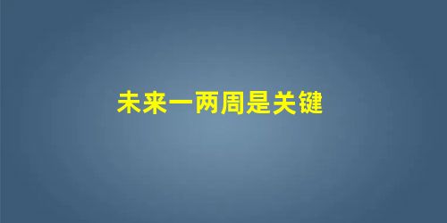 未来一两周是关键 未来一两周是关键