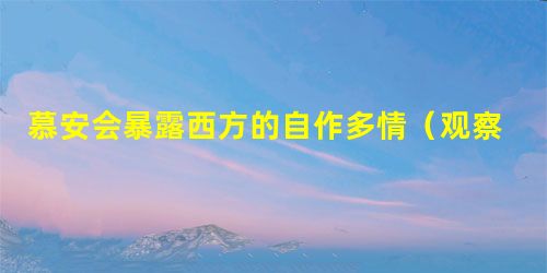 慕安会暴露西方的自作多情(观察家) 慕安会暴露西方的自作多情(观察家)