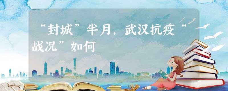 “封城”半月,武汉抗疫“战况”如何 “封城”半月,武汉抗疫“战况”如何