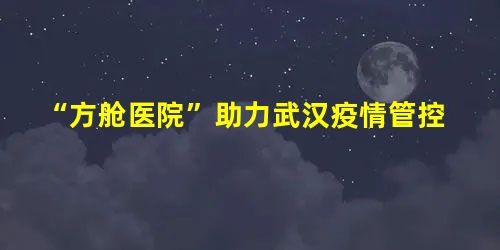 “方舱医院”助力武汉疫情管控 “方舱医院”助力武汉疫情管控