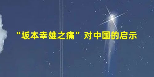“坂本幸雄之痛”对中国的启示 “坂本幸雄之痛”对中国的启示
