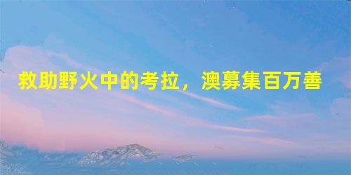 救助野火中的考拉,澳募集百万善款 救助野火中的考拉,澳募集百万善款
