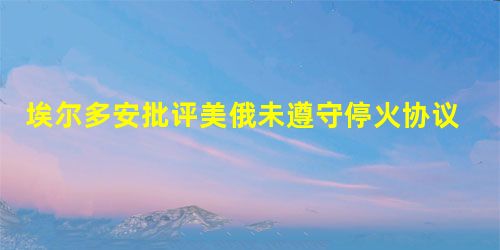 埃尔多安批评美俄未遵守停火协议 埃尔多安批评美俄未遵守停火协议