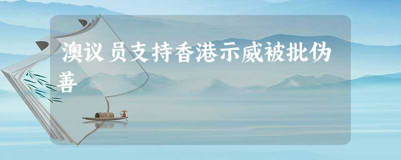 澳议员支持香港示威被批伪善 澳议员支持香港示威被批伪善
