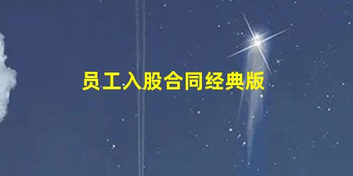 员工入股合同经典版 员工入股合同经典版