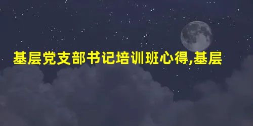 基层党支部书记培训班心得,基层党支部书记培训班心得体会 基层党支部书记培训班心得,基层党支部书记培训班心得体会