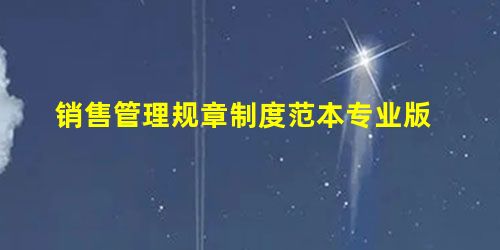 销售管理规章制度范本专业版 销售管理规章制度范本专业版