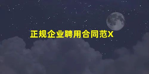 正规企业聘用合同范X 正规企业聘用合同范X