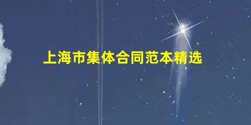 上海市集体合同范本精选 上海市集体合同范本精选