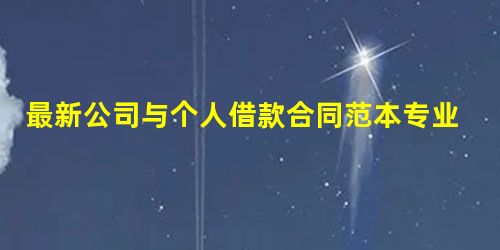 最新公司与个人借款合同范本专业版 最新公司与个人借款合同范本专业版