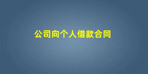 公司向个人借款合同 公司向个人借款合同