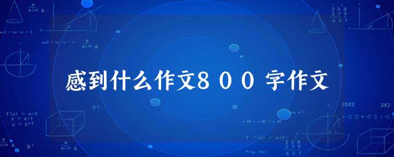 感到什么作文800字作文 感到什么作文800字作文